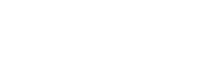 Biz Travelo